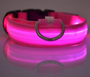 Nylon LED Pet Dog Luminous Collar