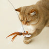 Interactive Bird Simulation Cat Toy