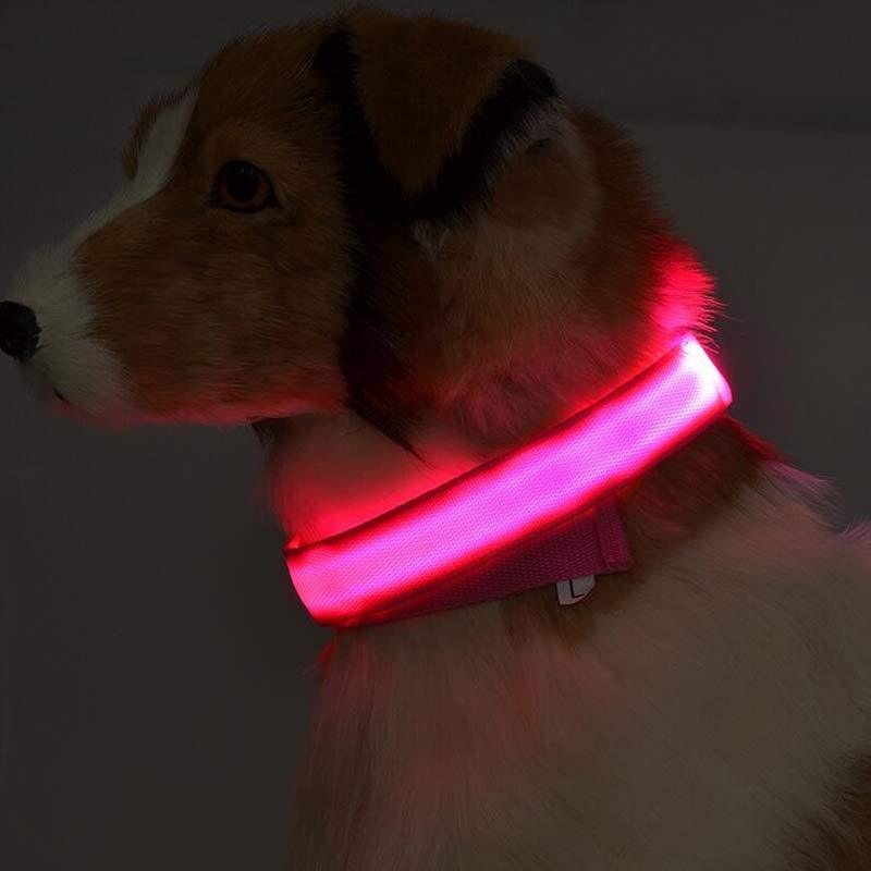 Nylon LED Pet Dog Luminous Collar