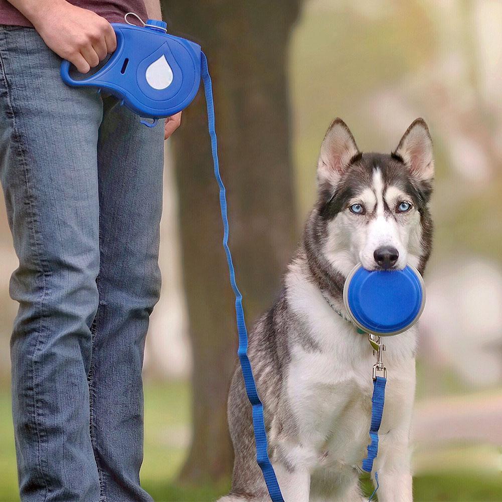 5 in 1 Dog Retractable Leash