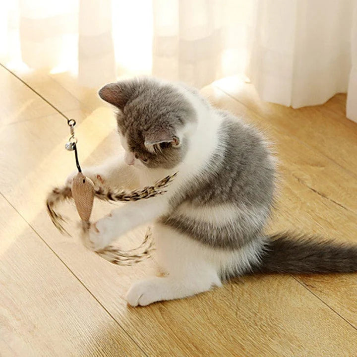 Interactive Bird Simulation Cat Toy