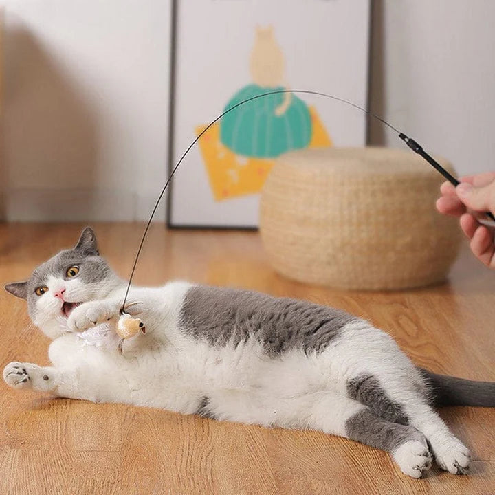 Interactive Bird Simulation Cat Toy