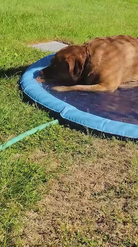 Pawtex Splash Pad™